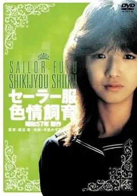 山海关的风历史剧情电影在线观看